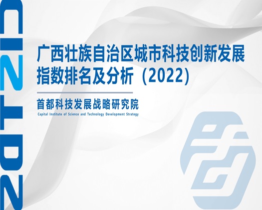 插骚逼影院【成果发布】广西壮族自治区城市科技创新发展指数排名及分析（2022）